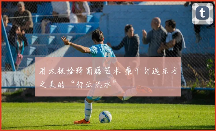 用太极诠释葡藤艺术 桑干打造东方之美的“行云流水”