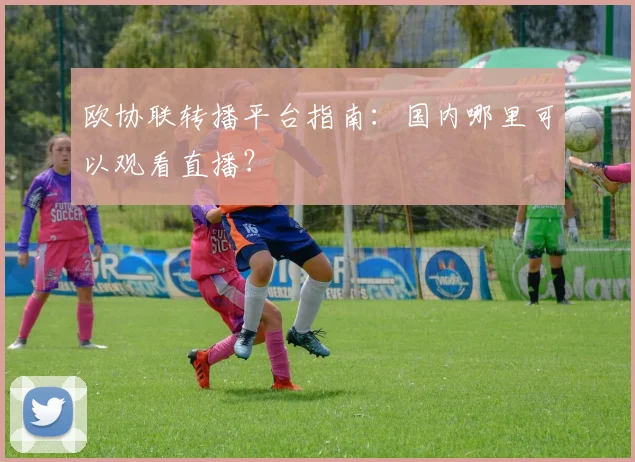 欧协联转播平台指南：国内哪里可以观看直播？