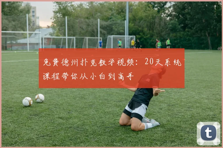免费德州扑克教学视频：20天系统课程带你从小白到高手