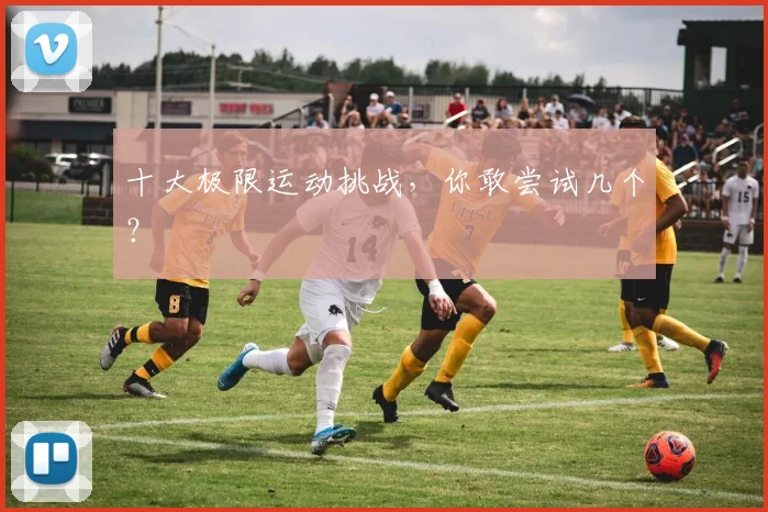 十大极限运动挑战，你敢尝试几个？
